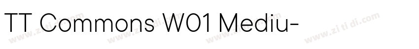 TT Commons W01 Mediu字体转换